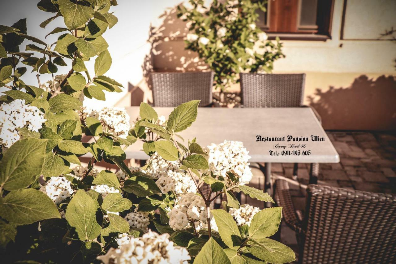 Restaurant Pansion Wien Cierny Brod المظهر الخارجي الصورة